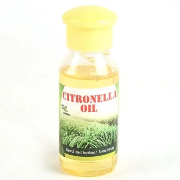 Citronella || Essential Oil 50 ml (1TORSPSKA00234)