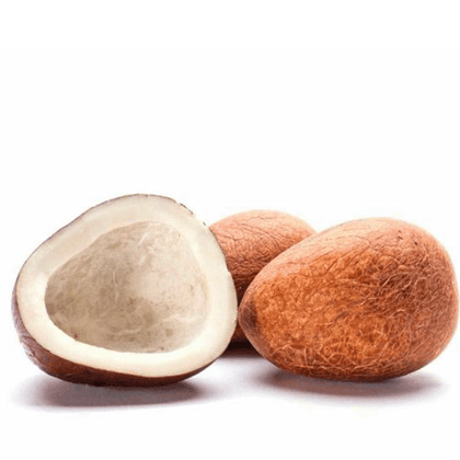 Coconut copra