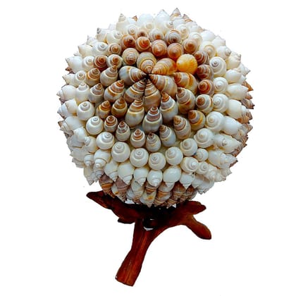 Hubshi Sea Shell Rock Snail Ball With 3 Legs Wooden Cobra Stand Natural Shell Handmade