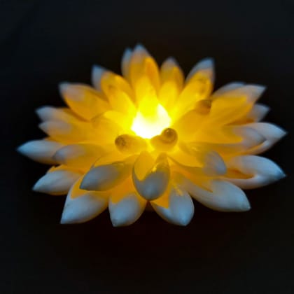 Hubshi Seashell Mogra Flower Tea Light Diya (Seashell) 2 pcs