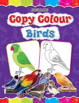 Copy Colour: Birds (copy Colour Books) [Paperback] Dreamland Publications