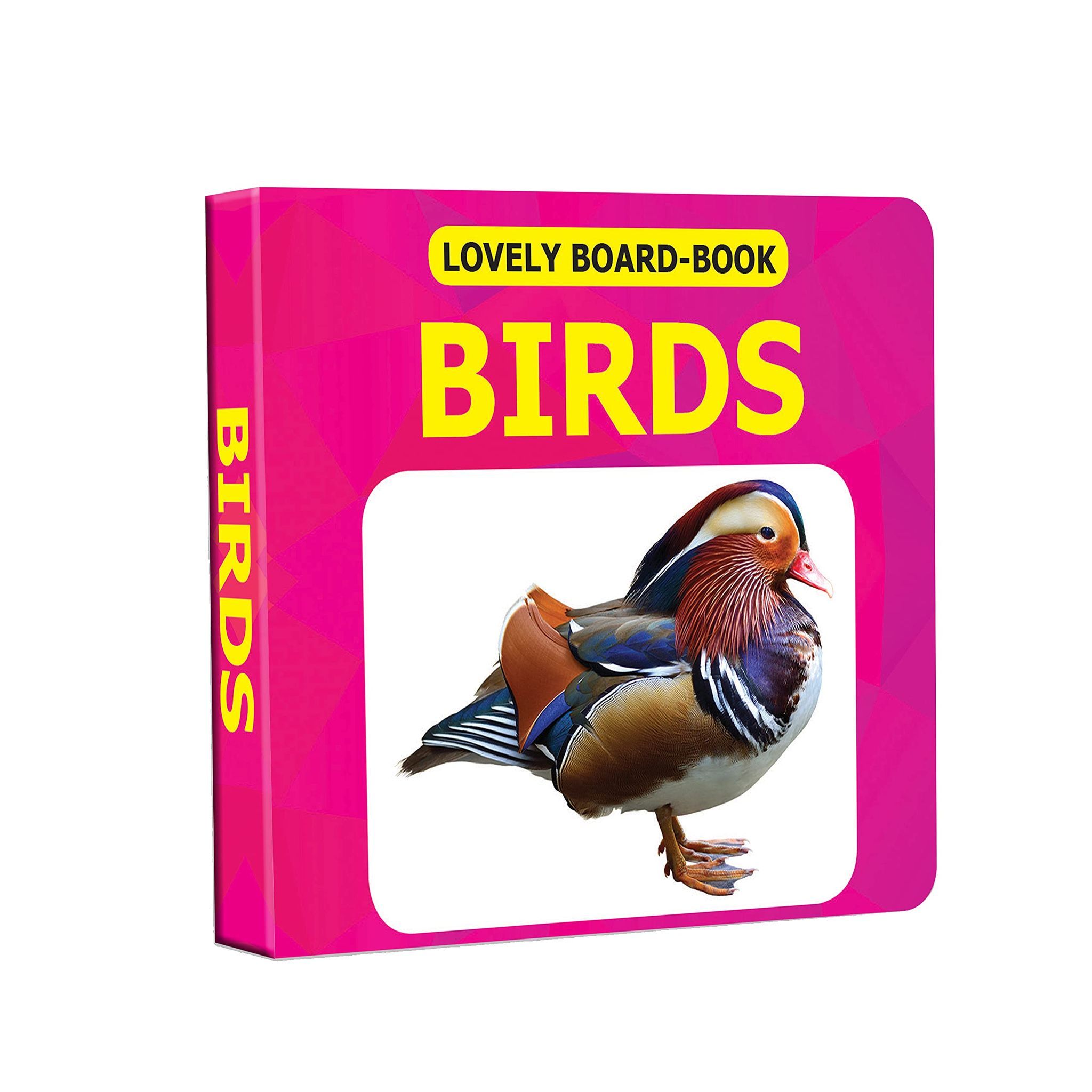 Board Books (lovely) - Birds [Board book] Dreamland Publications