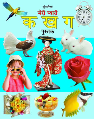 Meri Pyari Ka Kha Ga Pustak (hindi Varnamala Pustak) [Paperback] Dreamland Publications