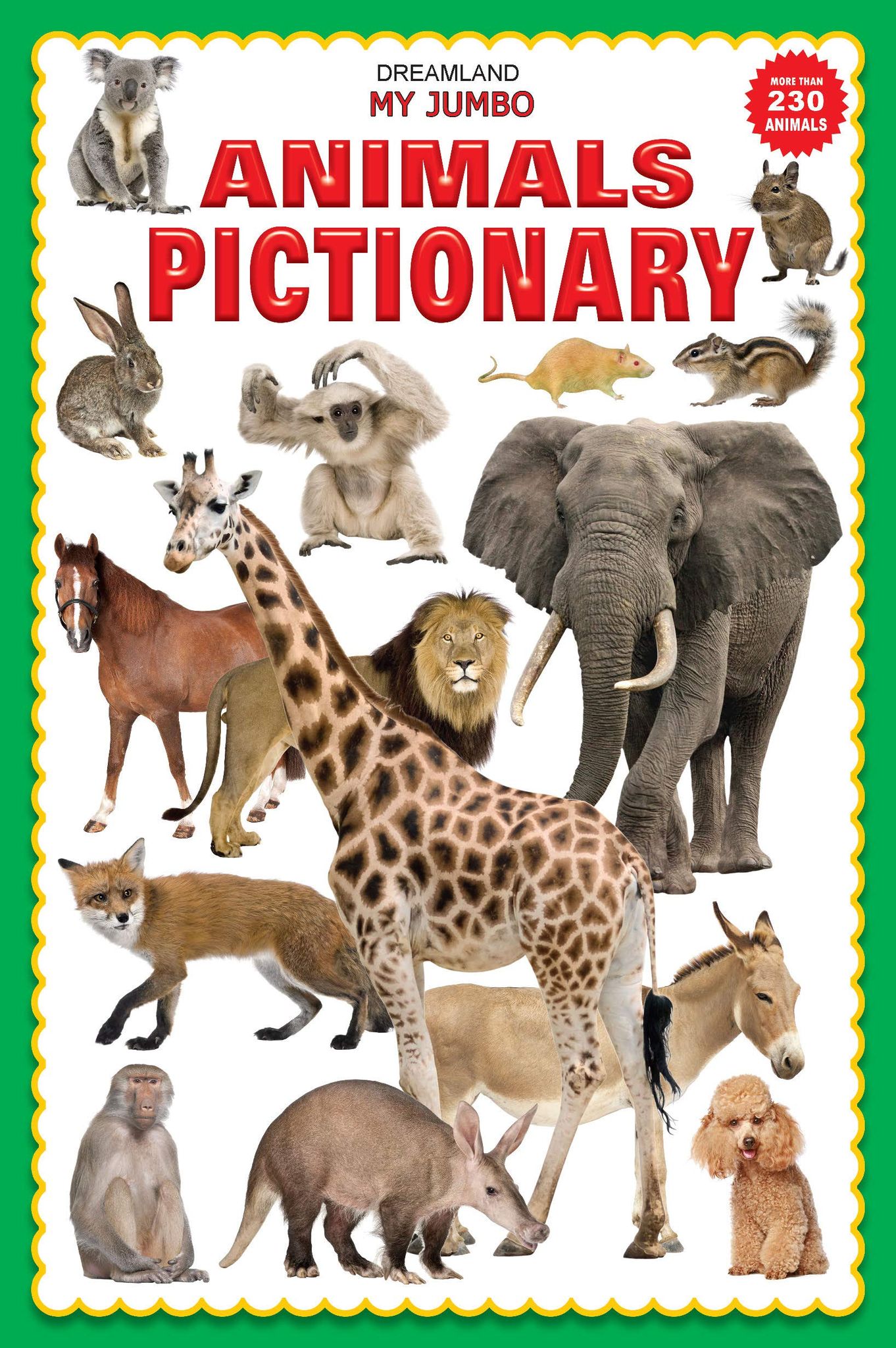 Animal Jumbo Pictionary - A3 Size Book with Big Pictures for Early Learners [Paperback] Dreamland Publications