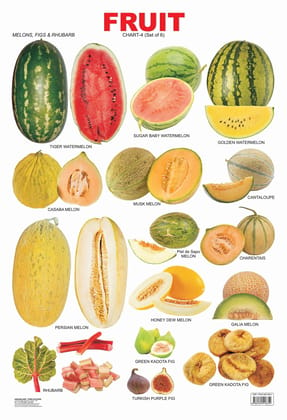 Fruit Chart - 4 Educational Wall Chart For Kids - Both Side Hard Laminated (Size 48 x 73 cm) [Poster] Dreamland Publications