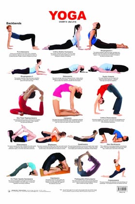 Yoga Chart - 5 Wall Chart - Both Side Hard Laminated (Size 48 x 73 cm) [Poster] Dreamland Publications