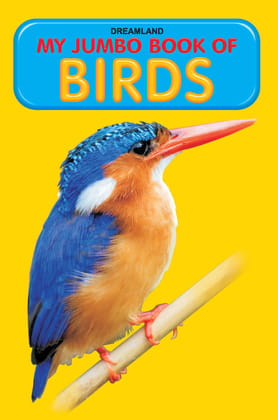 My Jumbo Book Of Birds (My Jumbo Books) [Paperback] Dreamland Publications