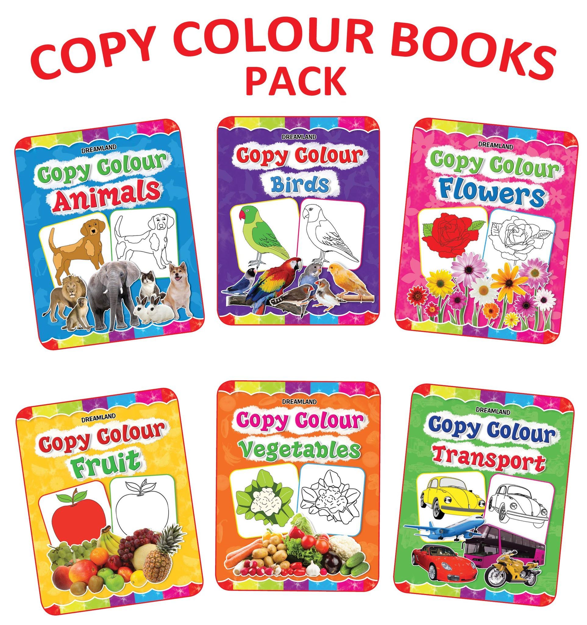 Copy Colour Pack(1to6) [Paperback] Dreamland Publications