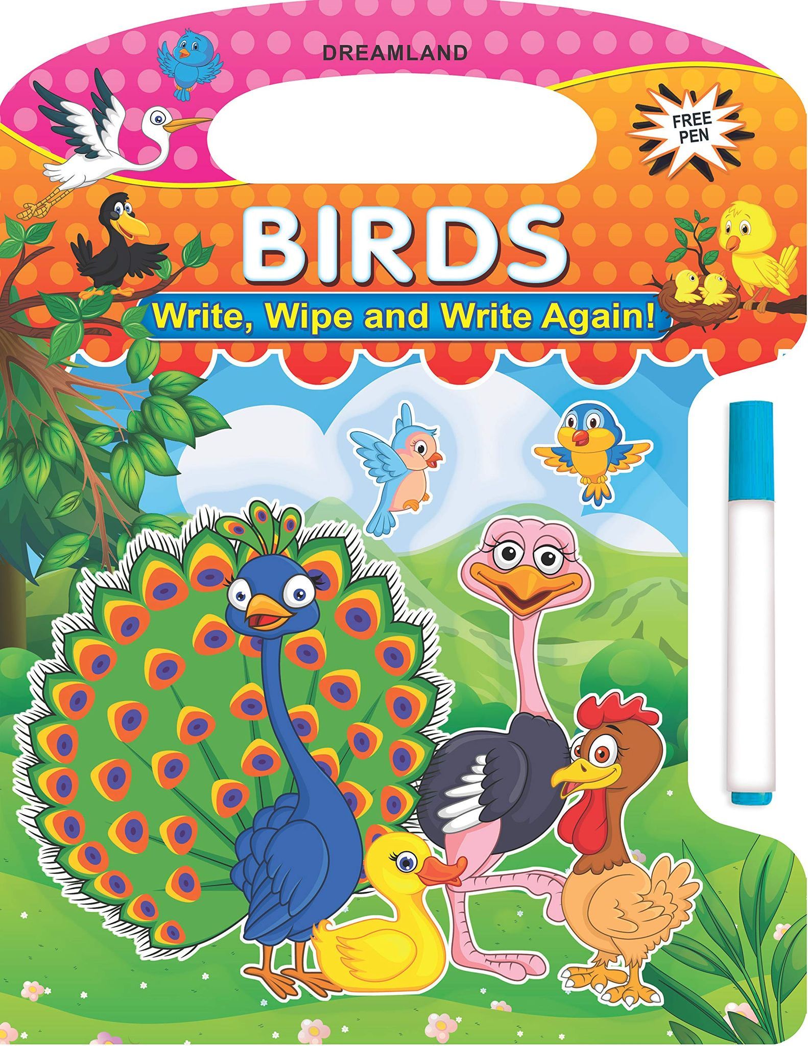 Birds - Write, Wipe and Write Again! (English [Paperback] Dreamland Publications