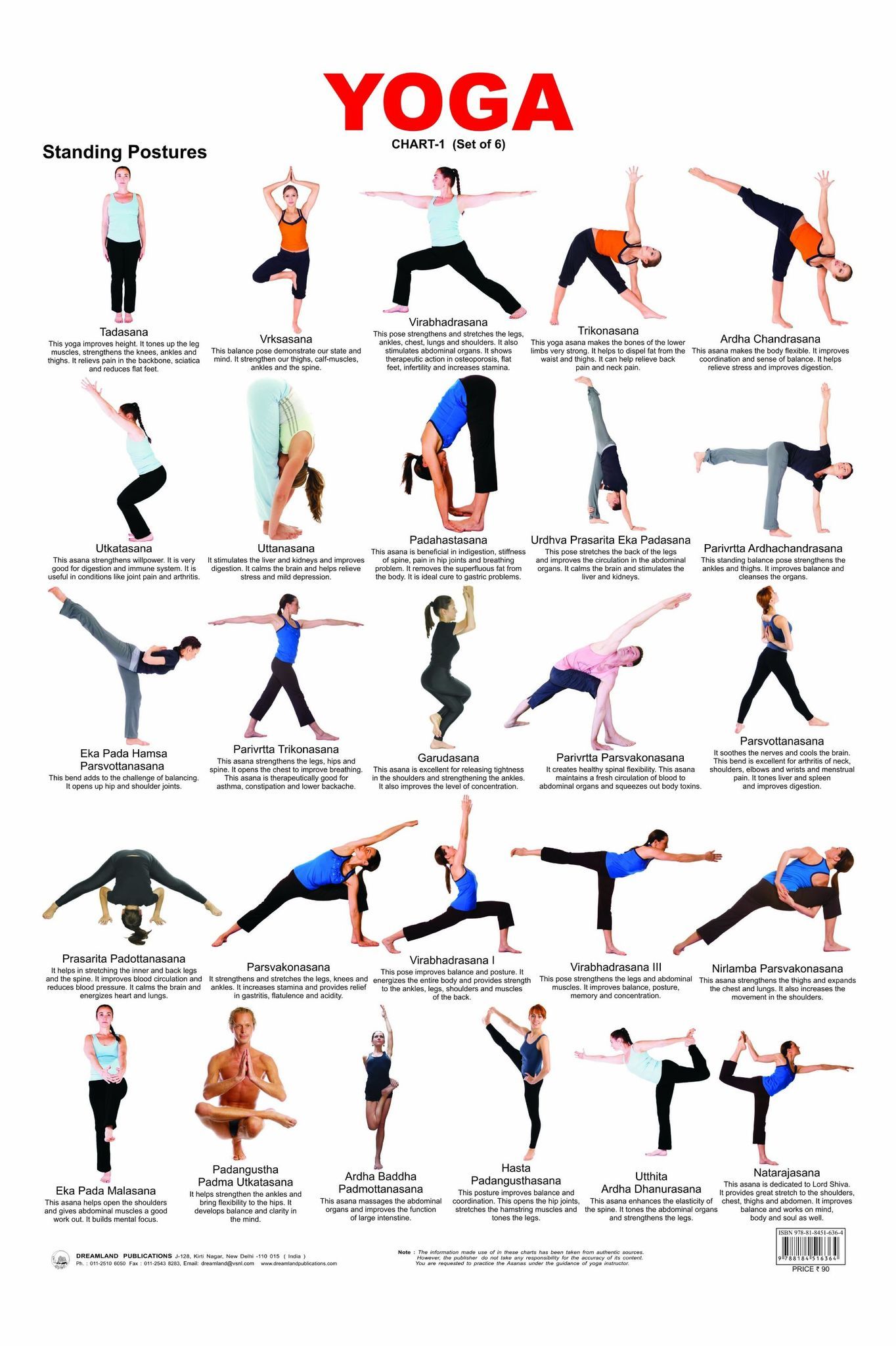 Yoga Chart - 1 Wall Chart - Both Side Hard Laminated (Size 48 x 73 cm) [Poster] Dreamland Publications