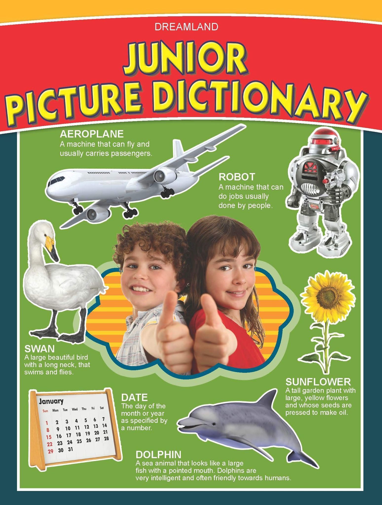 Junior Picture Dictionary Book for Children Age 4 -8 Years, 80 Pages [Paperback] Dreamland Publications