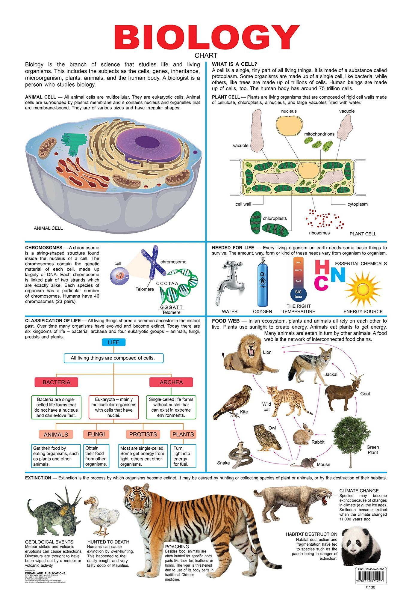 Biology [Wall Chart] Dreamland Publications