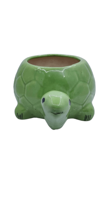 Tortoise Shaped Ceramic Indoor Flower Pot Planter