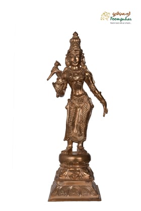 BRONZE 12 INCH MEENATCHI