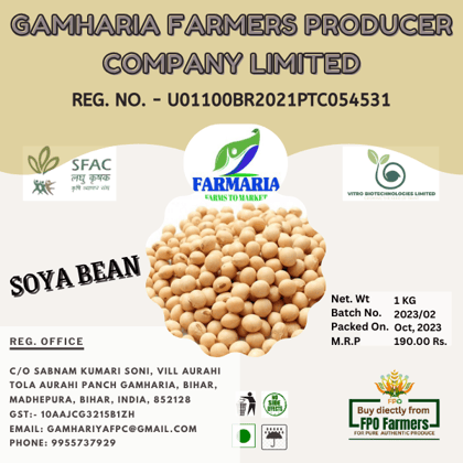 Soybean