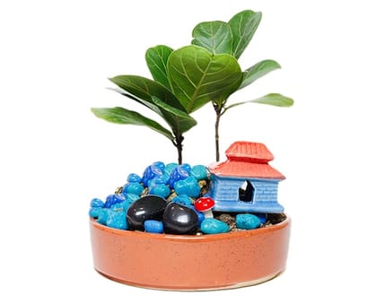 PLANTORI DIY Planter Kit � Gifting Flower Pot + Miniature Decor Item for Fairy Garden, Terrarium, Home