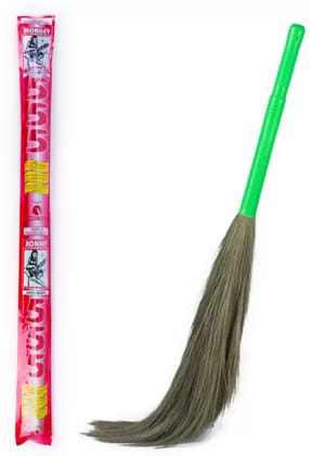 Monkey 555 Regular Grass Dry Broom  (Green)