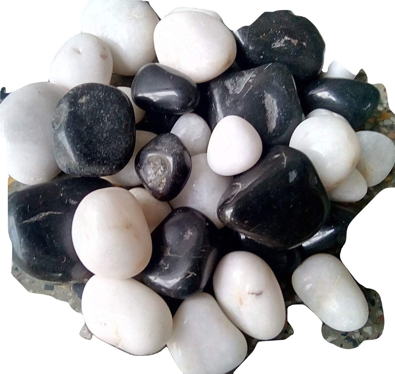 Decorative Stones Pebbles Black+White Pack of 2 Kg