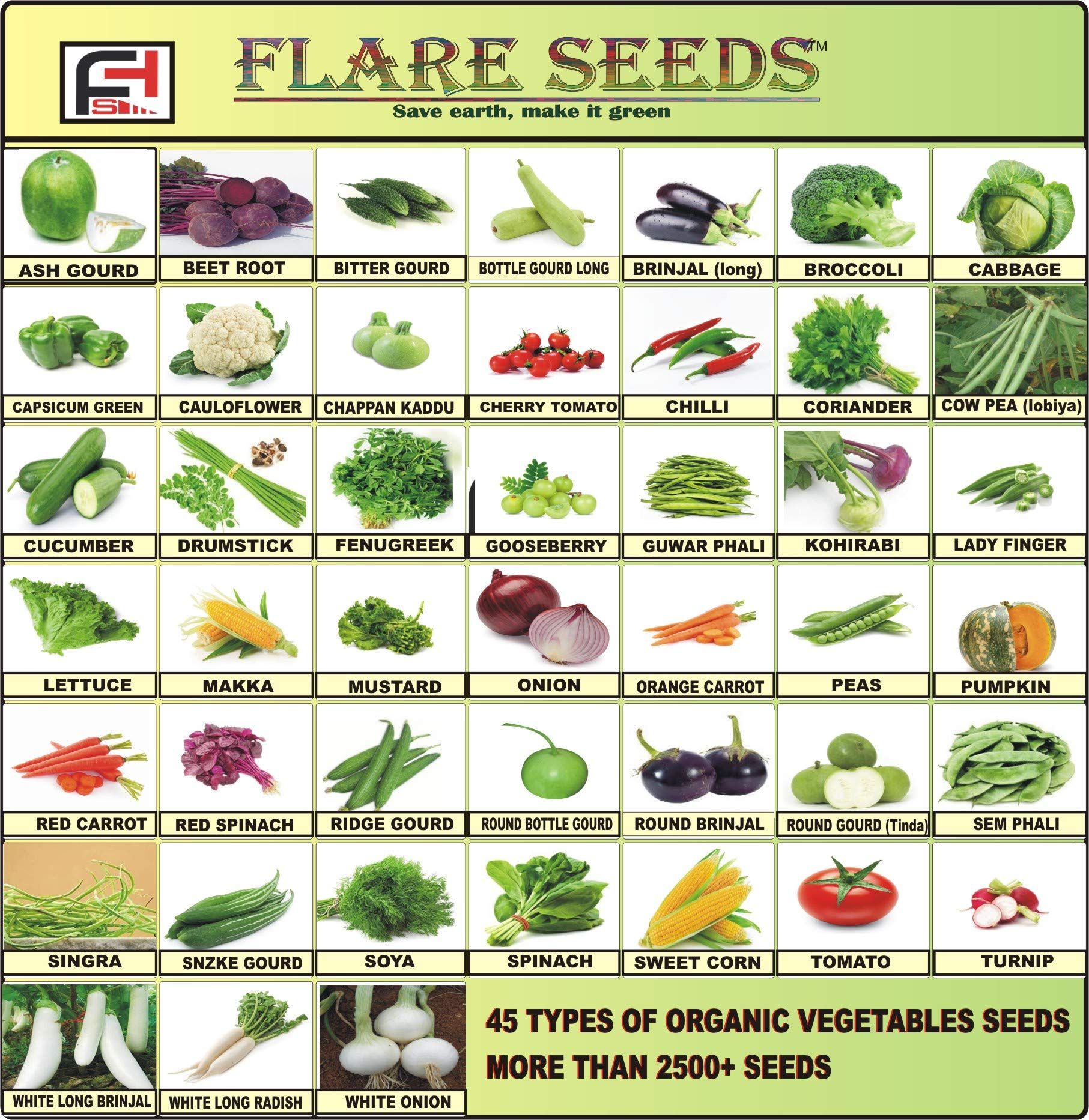 FLARE SEEDS 45 Varities of Vegetables Seeds 2500+ Seeds With Instruction Manual