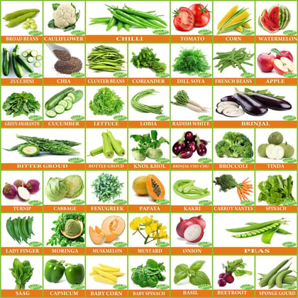 Vrisa Green 45 Varieties of Vegetable Seeds Combo With Instruction Manual Easy To Grow