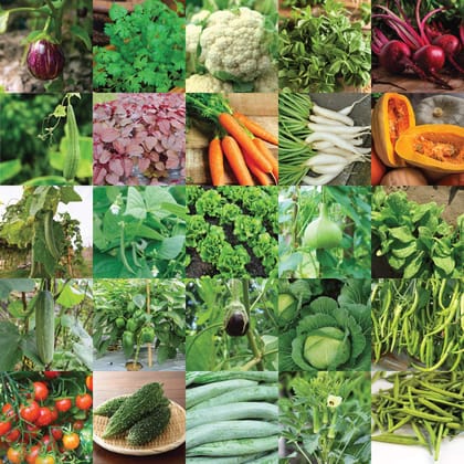 FLARE SEEDS Vegetable Combo Of 45 Varities Pack Of 2500+ & Hybrid Seeds