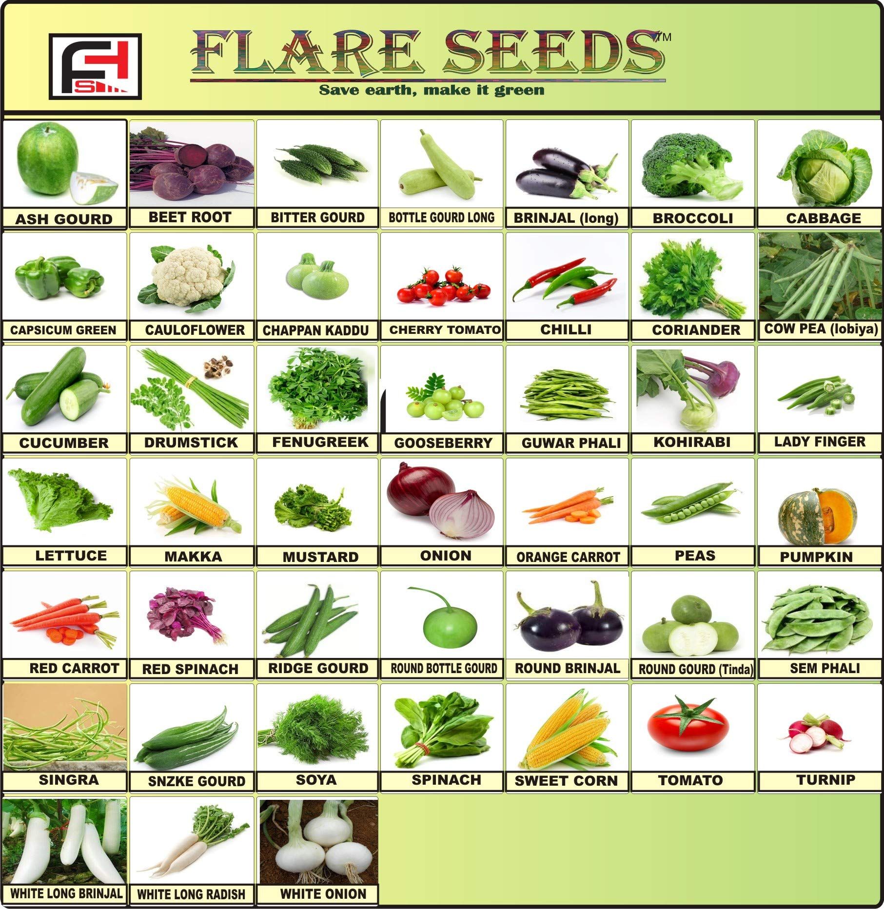 FLARE SEEDS Vegetables Seeds Combo For Home Garden 45 Varieties Indian Vegetable Organic Seeds 2500+ Seeds