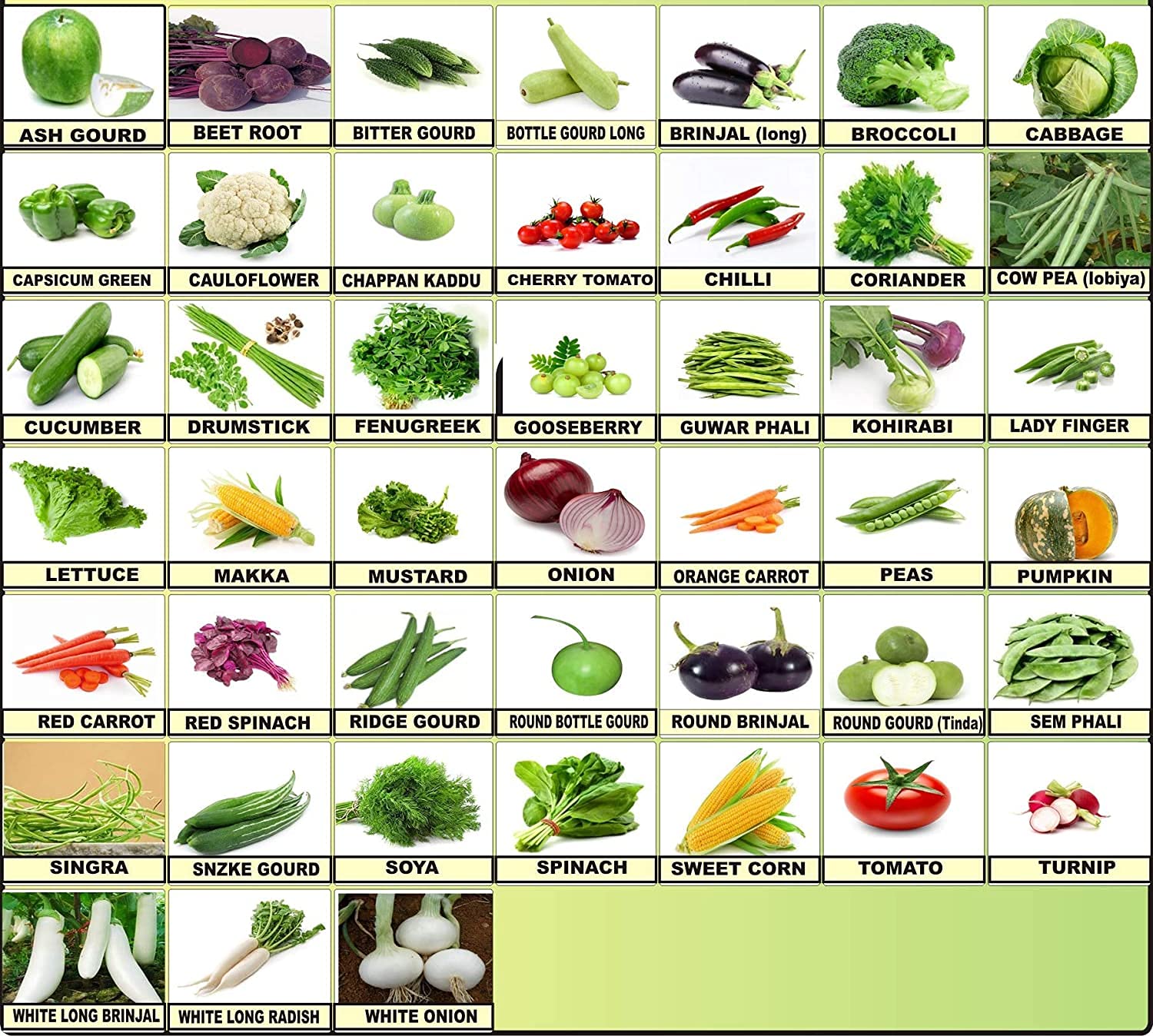 Flare Seeds Virsa Green Vegetable Seeds Bank For Home Garden 45 Varieties - 2550+ Seeds