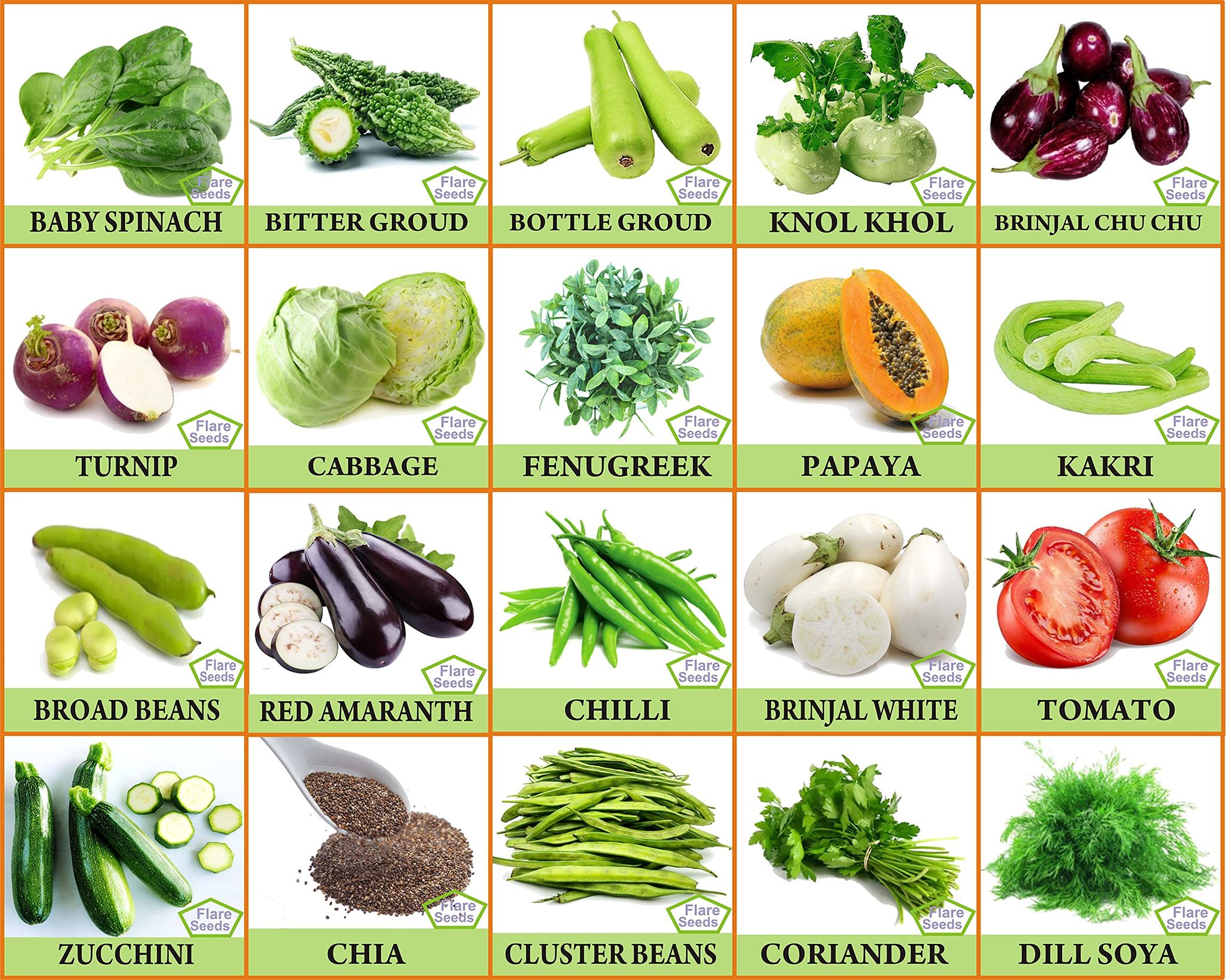 FLARE SEEDS 20 Types of Mix Vegetables Seeds Combo With Instruction Manual Inside