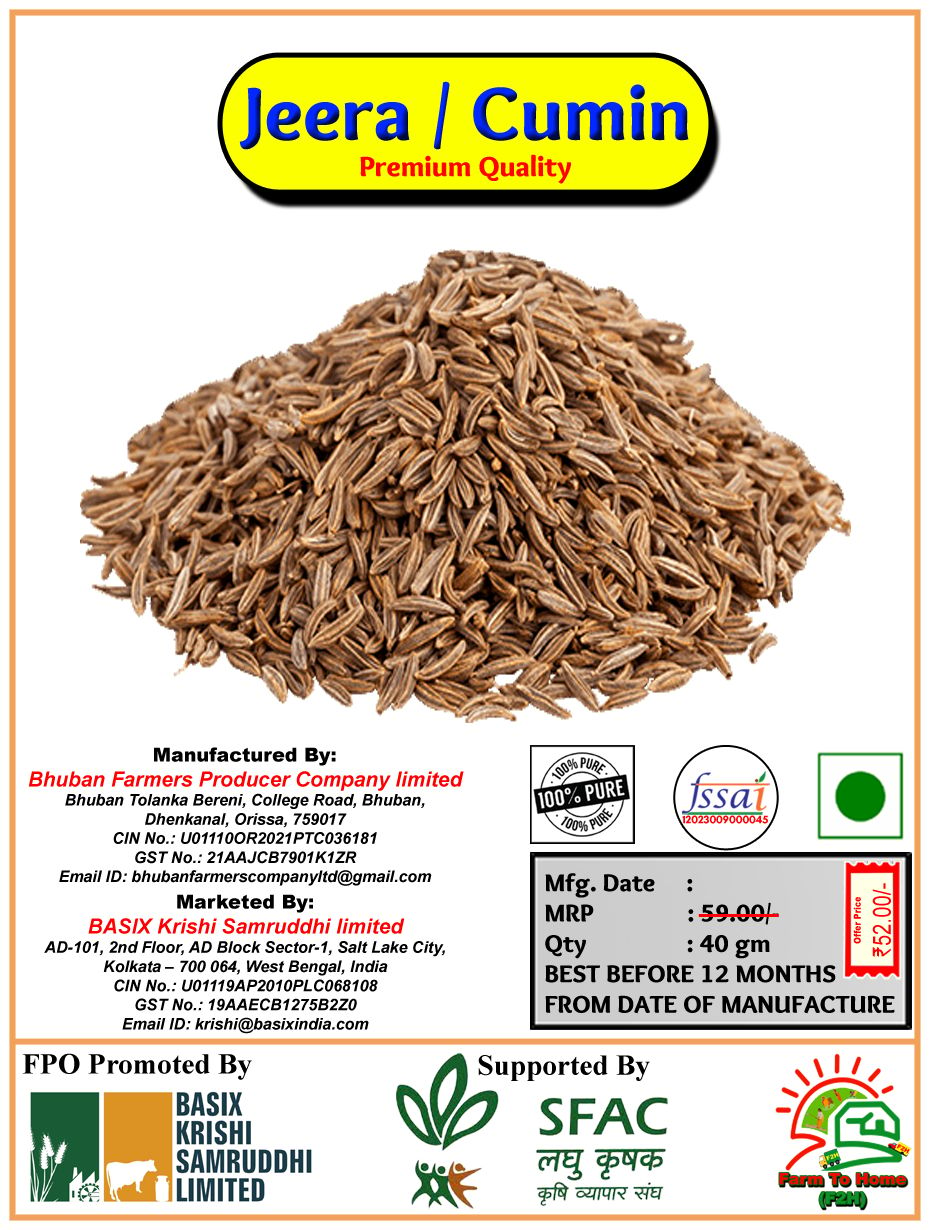 Jeera / Cumin | Premium Quality | 40 gm