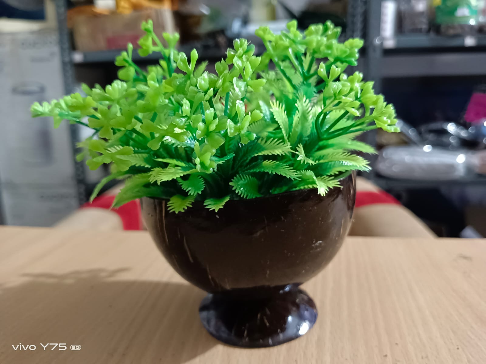 DECORATIVE PLANT POT