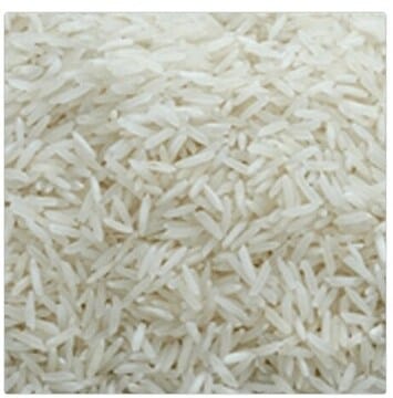 Paddy Rice