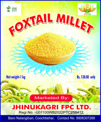 Millet Rice