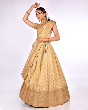 Chiku Zari Work Lehenga With Banarasi Dupatta