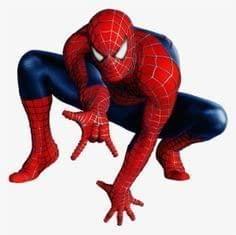APM Spiderman Wall Sticker Fully Waterproof Vinyl Sticker self Adhesive for Living Room, Bedroom, Office, Kids Room 12X18 inches (S13)