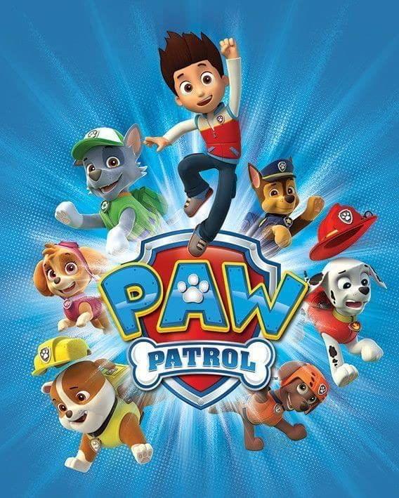 APM PAW Patrol Wall Sticker Fully Waterproof Vinyl Sticker self Adhesive for Living Room, Bedroom, Office, Kids Room 12X18 inches (PPW3)