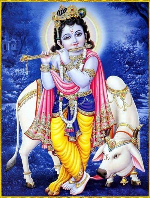 APM Radha Krishna Wall Sticker Waterproof for House Office Living Room, Showroom 12X18 INCHES