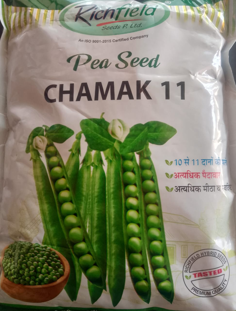 PEA SEED  CHAMAK 11