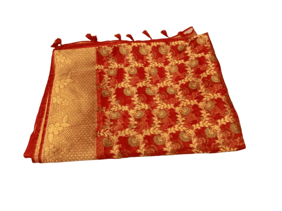 Red Bandhej Banarasi Georgette Saree – rangoutlet.com