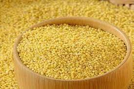 Foxtail Millets