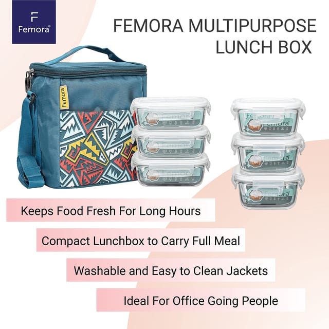 Femora Stainless Steel Square Multipurpose Lunch Box Set for  Office with Bag 2 Containers Lunch Box 