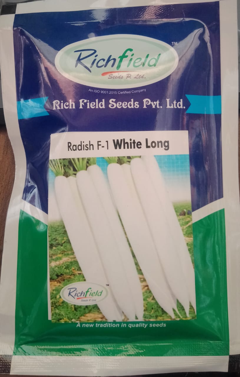 Radish F-1 white Long