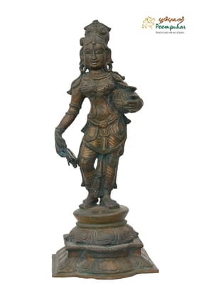 BRONZE POT LADY 34 INCH