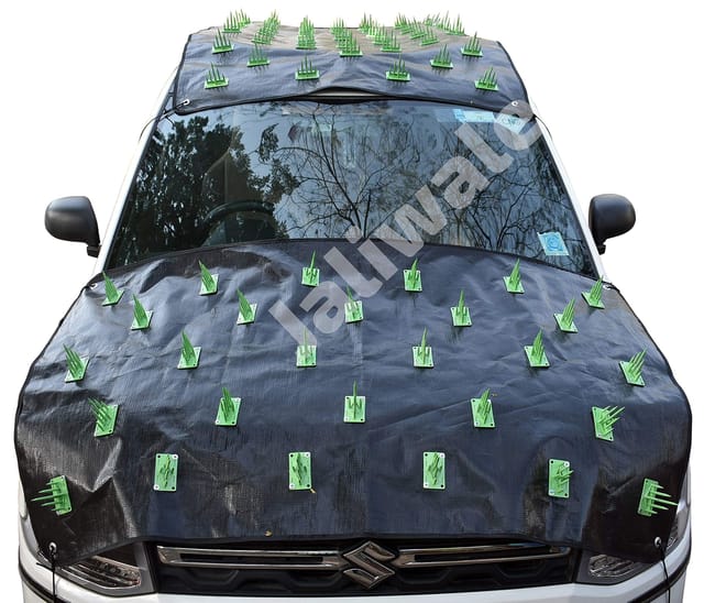 Car roof protector from hot sale dog