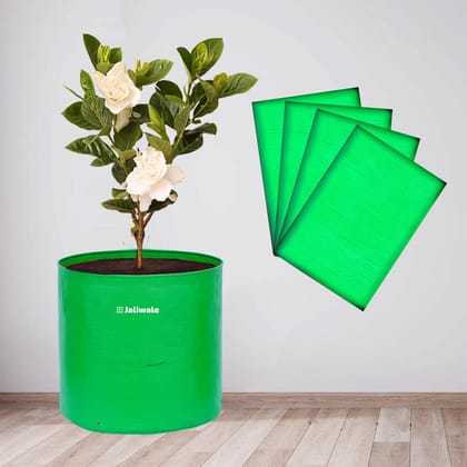 WNE Jaliwale Grow Bags 12x12 inch Large hdpe Fabric Big Size Grow Bags for Leafy Vegetables & Plants Pack of 4