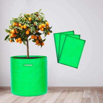 WNE Jaliwale HDPE Plant Grow Bags for Terrace Gardening & Grow Bags for Leafy Vegetable - Grow Bags 18x18 inches Pack of 3