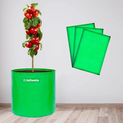 WNE Jaliwale Grow Bags 15x15 inch Large hdpe Fabric Big Size Grow Bags for Leafy Vegetables & Plants Pack of 3