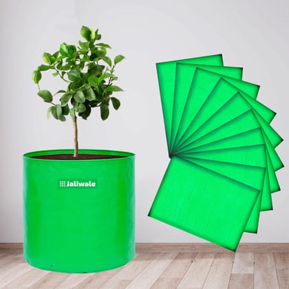 WNE Jaliwale Grow Bags 15x15 inch Large hdpe Fabric Big Size Grow Bags for Leafy Vegetables & Plants Pack of 10