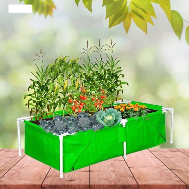 Green Rectangular Terrace Gardening HDPE Grow Bags