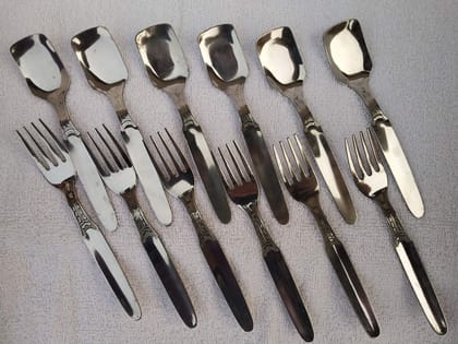 FNS International Pvt Ltd Gracia Stainless Steel Ice Cream Spoon and Fruit Fork (Silver) -Combo Set of 12