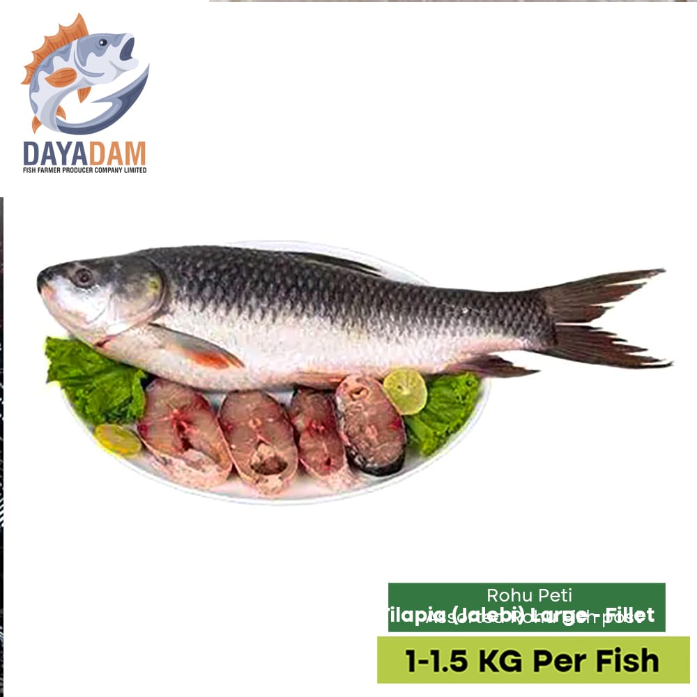 Fish products best sale